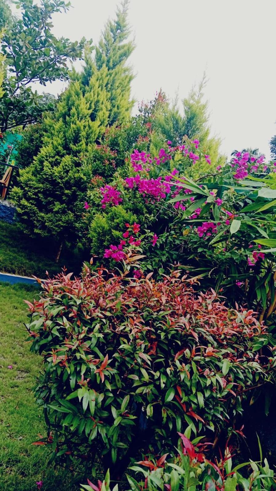 Serene Blossom Valley 滕卡西 外观 照片